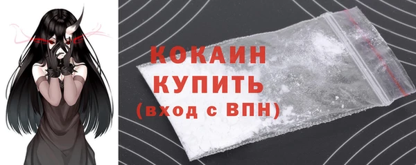 гидра Саяногорск