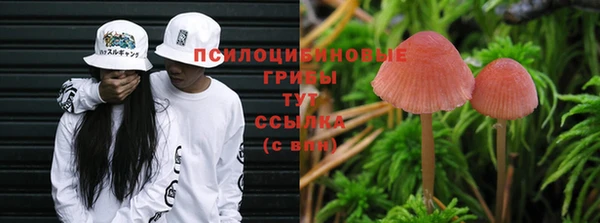 метадон Бронницы