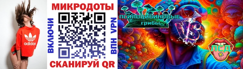 Псилоцибиновые грибы Psilocybine cubensis  Бронницы 